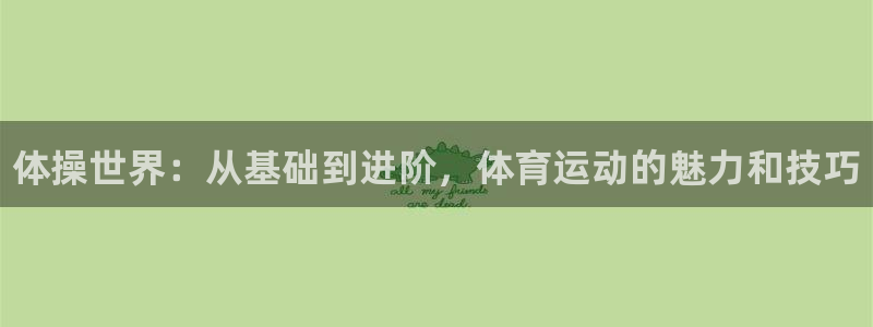 678体育：体操世界：从基础到进阶，体育运动的魅力和技巧