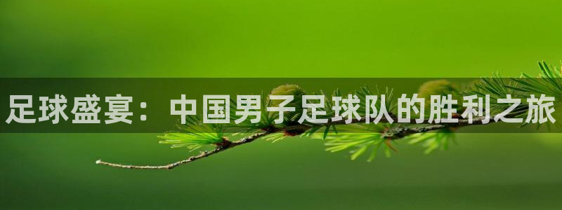 皇冠678体育：足球盛宴：中国男子足球队的胜利之旅