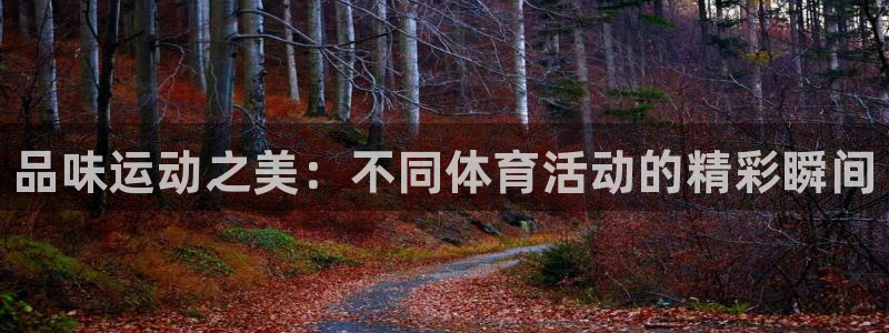 678体育知识：品味运动之美：不同体育活动的精彩瞬间
