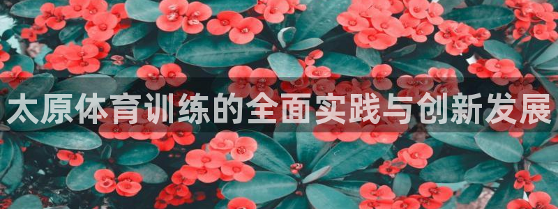 678体育知识：太原体育训练的全面实践与创新发展