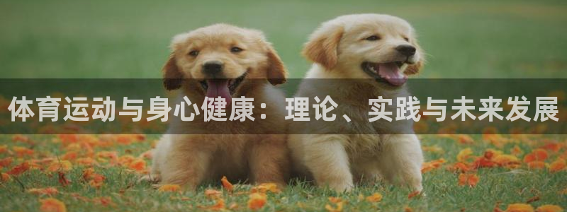 678体育官网地址：体育运动与身心健康：理论、实践与未来发展