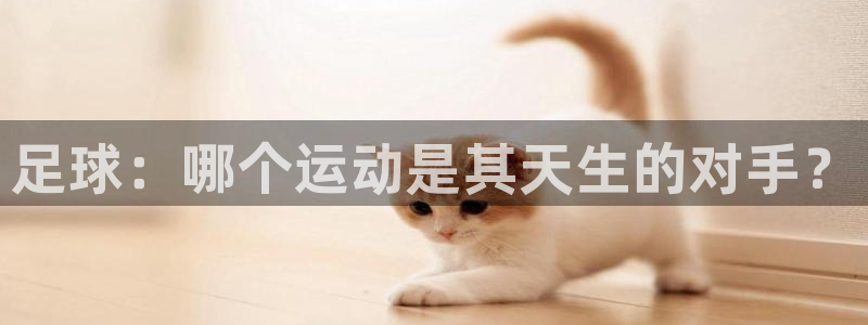 678体育官网：足球：哪个运动是其天生的对手？
