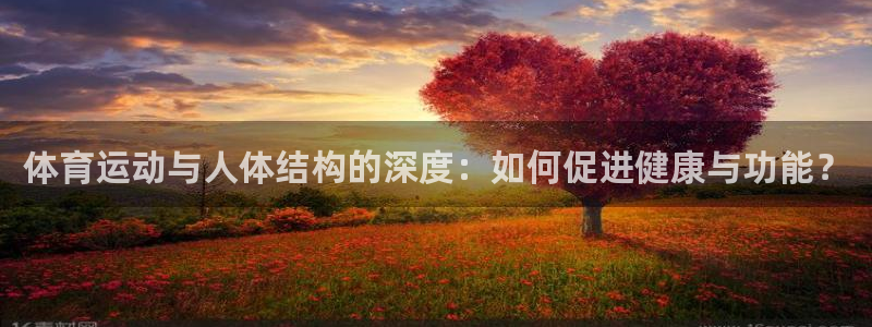 678体育：体育运动与人体结构的深度：如何促进健康与功能？