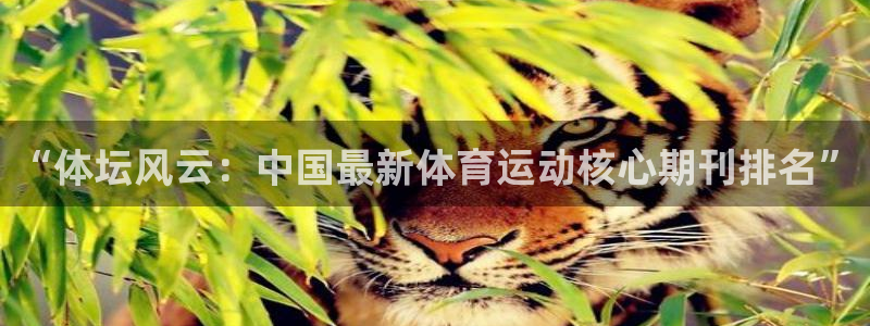 678体育：“体坛风云：中国最新体育运动核心期刊排名”