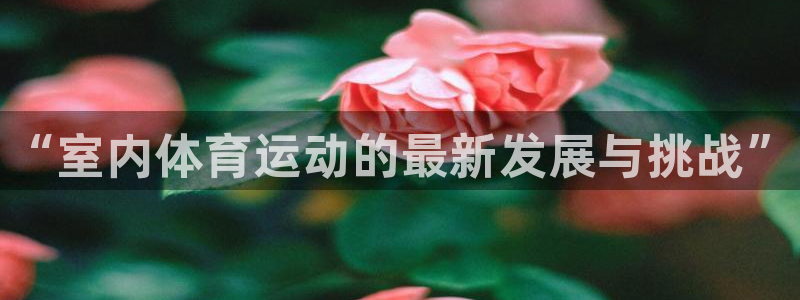 皇冠678体育：“室内体育运动的最新发展与挑战”