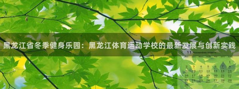 678体育官网地址：黑龙江省冬季健身乐园：黑龙江体育运动学校的最新发展与创新实践