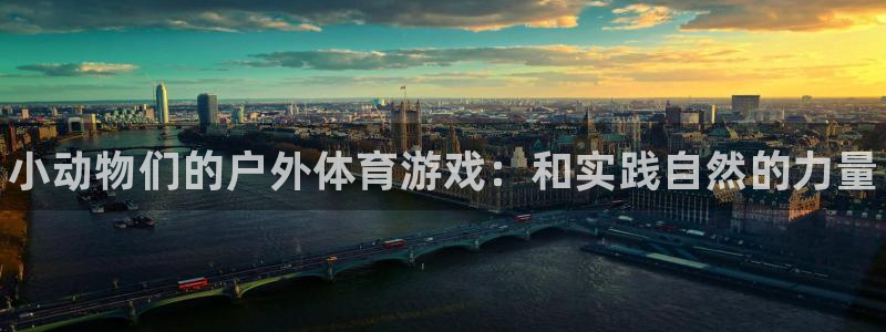 678体育知识：小动物们的户外体育游戏：和实践自然的力量