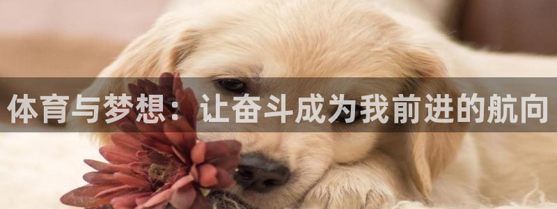 678体育官网：体育与梦想：让奋斗成为我前进的航向