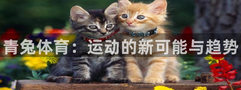 皇冠678体育：青兔体育：运动的新可能与趋势