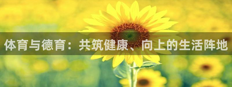 678体育官网：体育与德育：共筑健康、向上的生活阵地