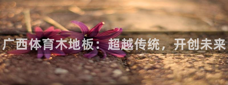 678体育知识：广西体育木地板：超越传统，开创未来