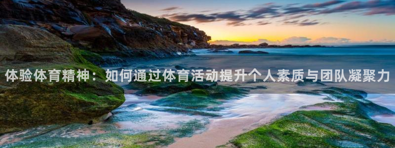 678体育：体验体育精神：如何通过体育活动提升个人素质与团队凝聚力