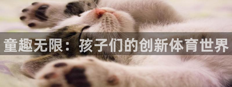 678体育知识：童趣无限：孩子们的创新体育世界