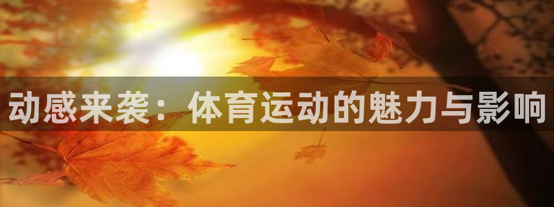 678体育app：动感来袭：体育运动的魅力与影响
