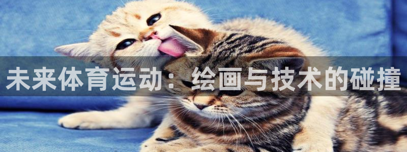 678体育知识：未来体育运动：绘画与技术的碰撞