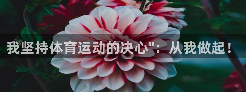 678体育官网地址