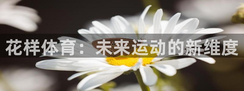 678体育官网下载：花样体育：未来运动的新维度