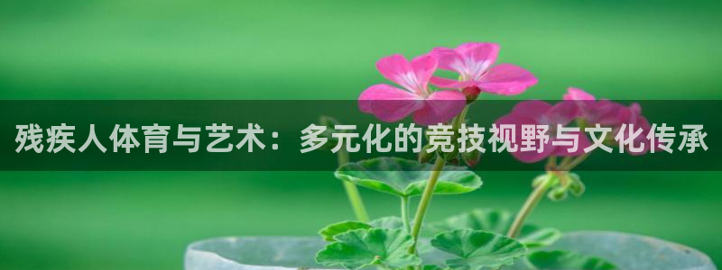 678体育官网下载：残疾人体育与艺术：多元化的竞技视野与文化传承