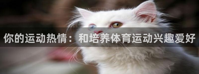 皇冠678体育：你的运动热情：和培养体育运动兴趣爱好