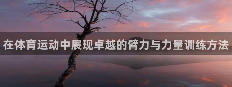 678体育：在体育运动中展现卓越的臂力与力量训练方法