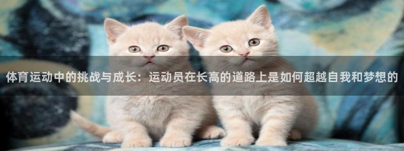 678体育官网下载：体育运动中的挑战与成长：运动员在长高的道路上是如何超越自我和梦想的