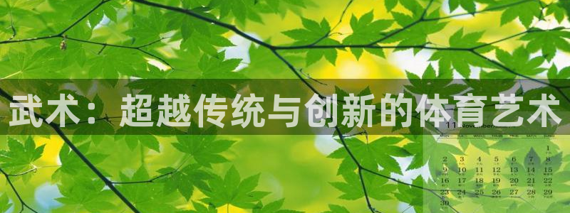 678体育官网地址：武术：超越传统与创新的体育艺术