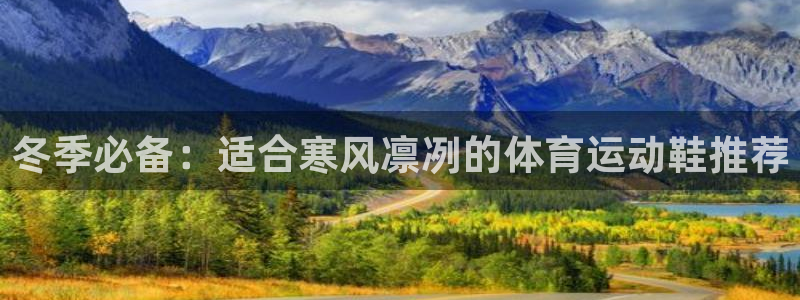 678体育app：冬季必备：适合寒风凛冽的体育运动鞋推荐