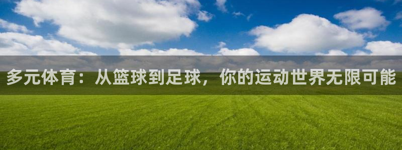 皇冠678体育：多元体育：从篮球到足球，你的运动世界无限可能