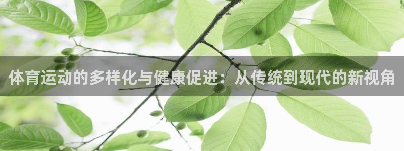 皇冠678体育：体育运动的多样化与健康促进：从传统到现代的新视角