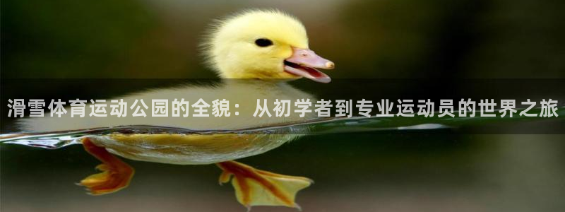皇冠678体育：滑雪体育运动公园的全貌：从初学者到专业运动员的世界之旅