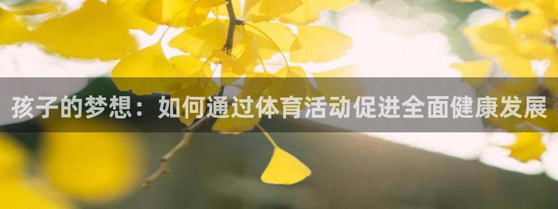 678体育知识：孩子的梦想：如何通过体育活动促进全面健康发展