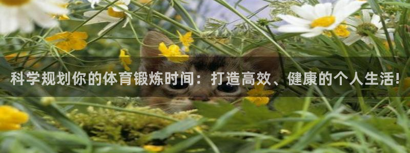 678体育官网