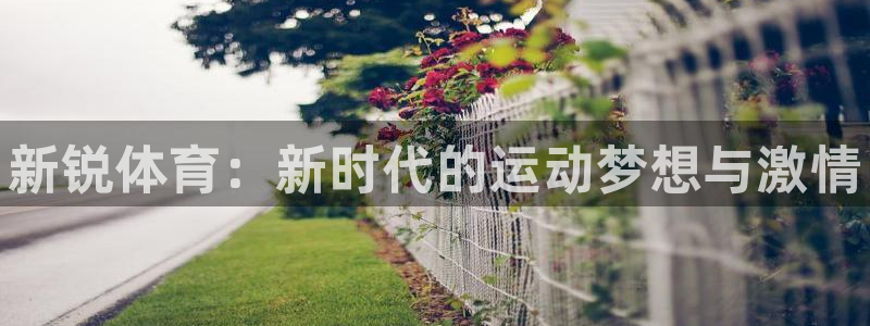 678体育官网