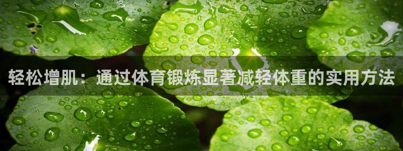 678体育知识：轻松增肌：通过体育锻炼显著减轻体重的实用方法