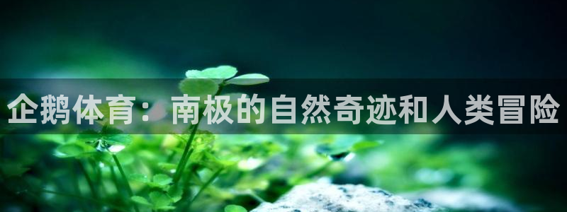 皇冠678体育：企鹅体育：南极的自然奇迹和人类冒险