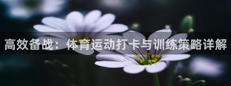 678体育官网下载：高效备战：体育运动打卡与训练策略详解