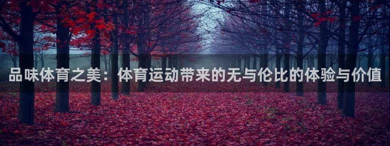 678体育官网下载：品味体育之美：体育运动带来的无与伦比的体验与价值