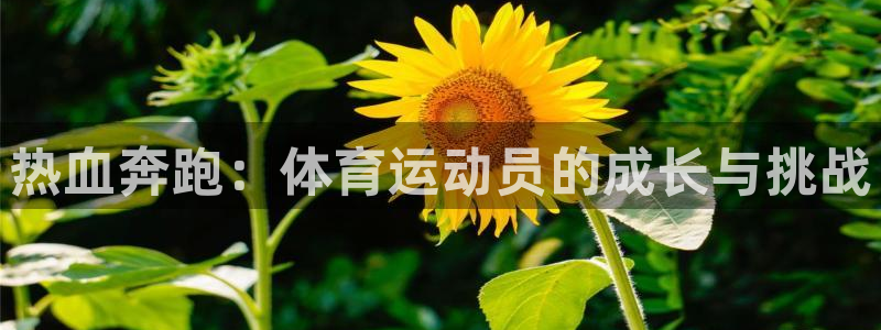 678体育：热血奔跑：体育运动员的成长与挑战