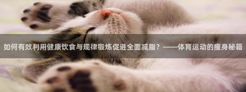 678体育官网下载：如何有效利用健康饮食与规律锻炼促进全面减脂？——体育运动的瘦身秘籍