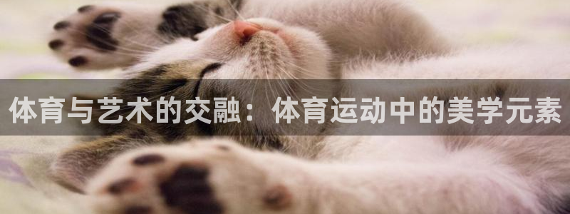 皇冠678体育：体育与艺术的交融：体育运动中的美学元素