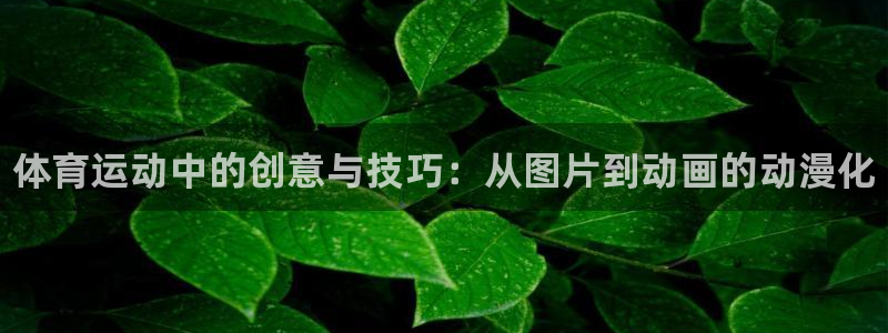 678体育官网：体育运动中的创意与技巧：从图片到动画的动漫化