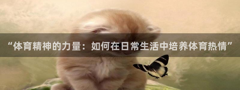 皇冠678体育：“体育精神的力量：如何在日常生活中培养体育热情”