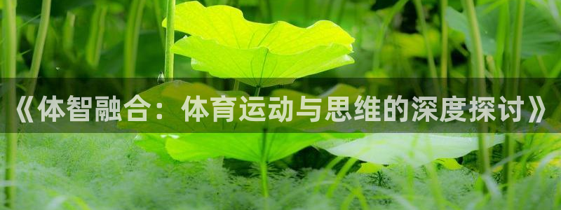 678体育官网：《体智融合：体育运动与思维的深度探讨》