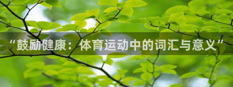 678体育app：“鼓励健康：体育运动中的词汇与意义”