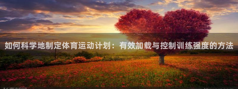 678体育app：如何科学地制定体育运动计划：有效加载与控制训练强度的方法